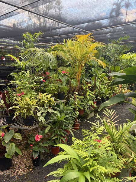 nursery2