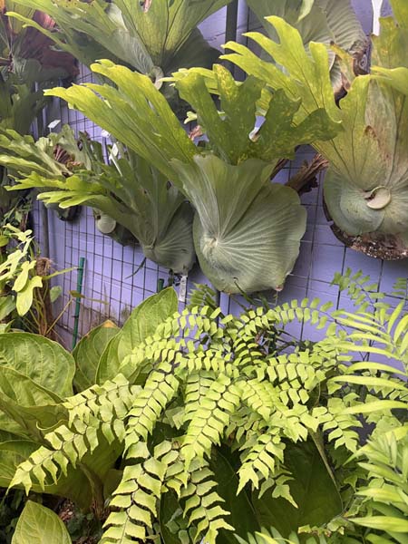 nursery3