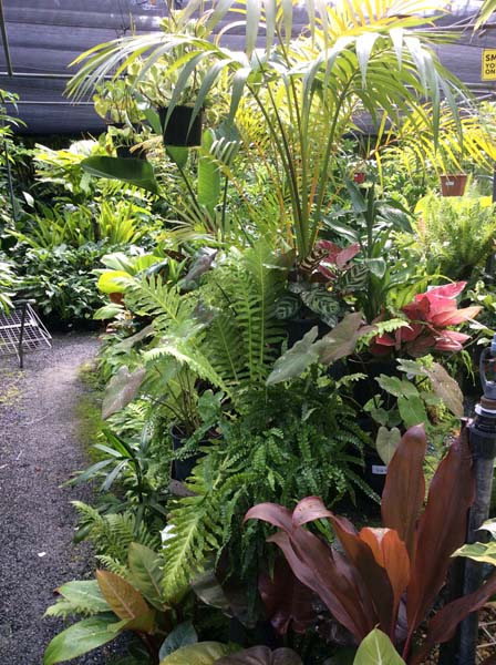 nursery4