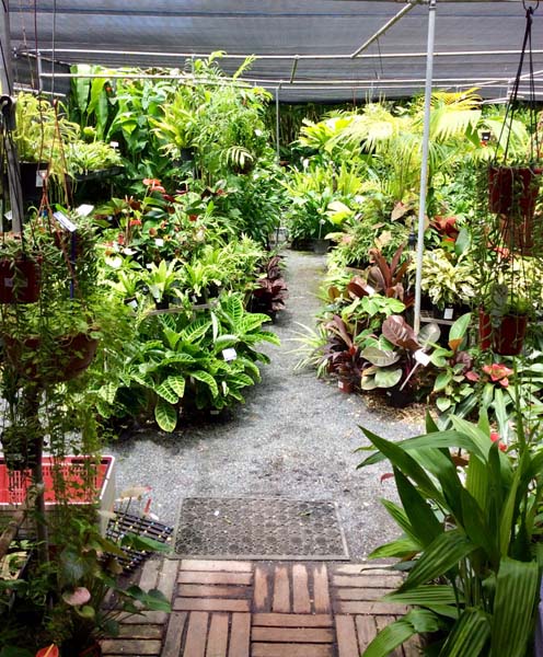 nursery6