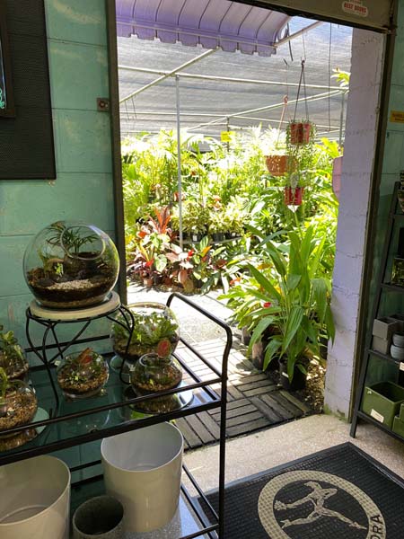 nursery6
